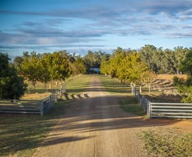 Rural / Farming commercial property for sale at 125 North Condobolin Road Bedgerabong NSW 2871