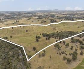 Rural / Farming commercial property for sale at 600 Seymour-Pyalong Road Hilldene VIC 3660