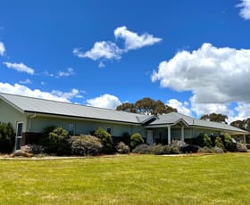 Rural / Farming commercial property for sale at Mount Rankin NSW 2795