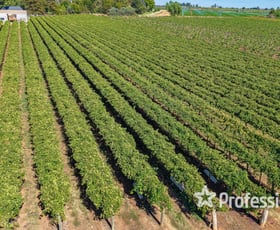 Rural / Farming commercial property for sale at 14 Sultana Avenue Irymple VIC 3498