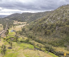 Rural / Farming commercial property for sale at 353 Scrub Road Tenterfield NSW 2372