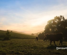 Rural / Farming commercial property for sale at 165 Sanders Road Garfield North VIC 3814