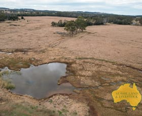 Rural / Farming commercial property for sale at 13 & 134, . Meehans Road Memerambi QLD 4610