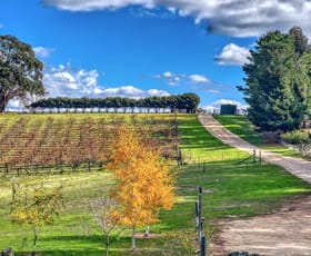Rural / Farming commercial property for sale at 2222 Bylong Valley Way Rylstone NSW 2849