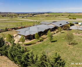 Rural / Farming commercial property for sale at 6 O'hurley Drive Marchmont NSW 2582