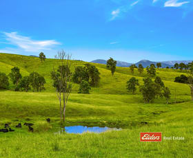Rural / Farming commercial property for sale at 2121 Salisbury Road, Salisbury via Dungog NSW 2420