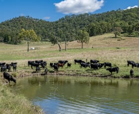 Rural / Farming commercial property for sale at 1942-1958 Esk Crows Nest Road Biarra QLD 4313