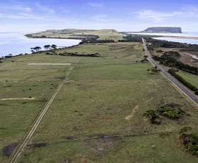 Rural / Farming commercial property for sale at 151 Stanley Highway Stanley TAS 7331
