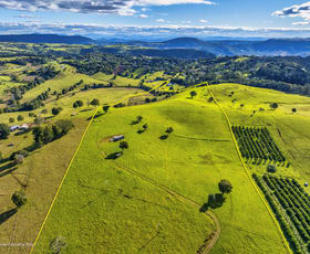 Rural / Farming commercial property sold at 1696 Beechmont Road Beechmont QLD 4211
