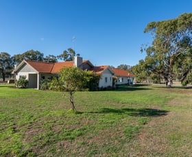 Rural / Farming commercial property for sale at 16 Hills Road Pranjip VIC 3666