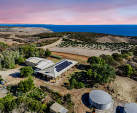Rural / Farming commercial property for sale at 74 Williams Road Cape Jervis SA 5204