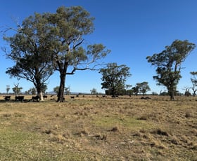 Rural / Farming commercial property for sale at 122 Reapers Road Culcairn NSW 2660