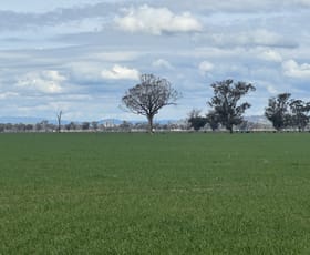 Rural / Farming commercial property for sale at 122 Reapers Road Culcairn NSW 2660