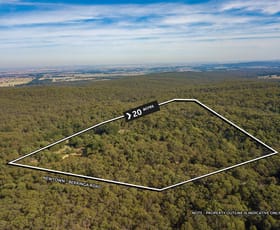 Rural / Farming commercial property for sale at Lot 1 Newtown Berringa Staffordshire Reef VIC 3351