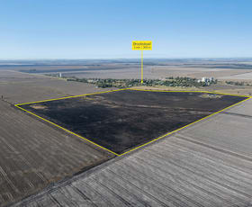 Rural / Farming commercial property for sale at "Jackabee" Corner Madelaine St & Gore Highway Brookstead QLD 4364