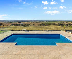 Rural / Farming commercial property for sale at 841 Big Springs Road Wagga Wagga NSW 2650