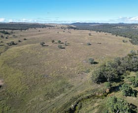 Rural / Farming commercial property for sale at 0 Emmaville Road Ashford NSW 2361