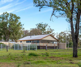 Rural / Farming commercial property for sale at 648 Derreen Road Murrays Bridge QLD 4370
