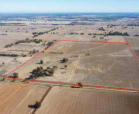 Rural / Farming commercial property for sale at Lot 3 Kellys Road Wunghnu VIC 3635