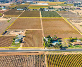 Rural / Farming commercial property for sale at 284 Sandilong Avenue Nichols Point VIC 3501