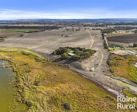 Rural / Farming commercial property for sale at 53 Sterling Downs Road Currency Creek SA 5214