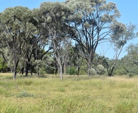Rural / Farming commercial property for sale at Moor Moor Road Dutton River QLD 4821