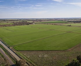 Rural / Farming commercial property for sale at 261 Campbells Road Deniliquin NSW 2710