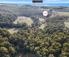 Rural / Farming commercial property for sale at 159 White Hills Road Penguin TAS 7316