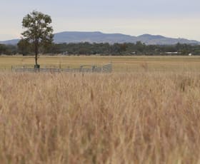 Rural / Farming commercial property for sale at Ona Ona Road Roma QLD 4455
