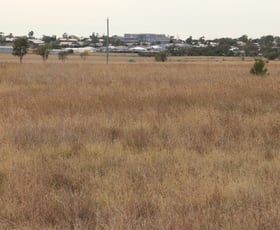 Rural / Farming commercial property for sale at Ona Ona Road Roma QLD 4455