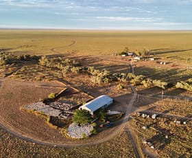 Rural / Farming commercial property for sale at 3428 Stanley Downs Road Tangorin QLD 4821