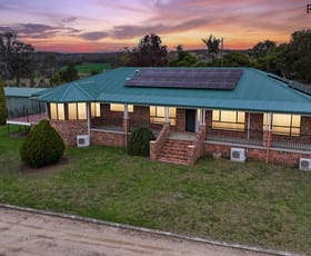 Rural / Farming commercial property for sale at 305 Old Bundarra Road Inverell NSW 2360