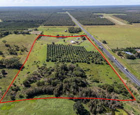 Rural / Farming commercial property for sale at 28282 Bruce Highway Horton QLD 4660