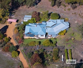 Rural / Farming commercial property for sale at 2528 Goodwood Road Paynedale WA 6239