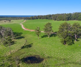 Rural / Farming commercial property for sale at Grants Beach NSW 2445