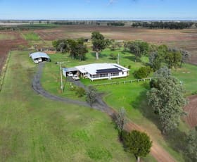 Rural / Farming commercial property for sale at Weetah Cottage Pallamallawa NSW 2399