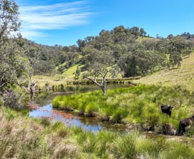 Rural / Farming commercial property for sale at Rimrock/669 Linton Road Barraba NSW 2347
