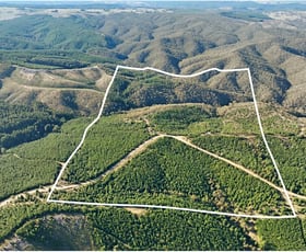 Rural / Farming commercial property for sale at 327 Jeremy Road Jeremy NSW 2795
