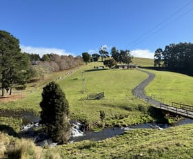 Rural / Farming commercial property for sale at 98 Creamery Road Sulphur Creek TAS 7316