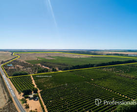 Rural / Farming commercial property for sale at 1041 Brownport Road Iraak VIC 3494
