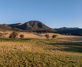 Rural / Farming commercial property for sale at 3 Killens Road Bylong NSW 2849