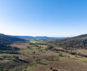 Rural / Farming commercial property for sale at 3 Killens Road Bylong NSW 2849