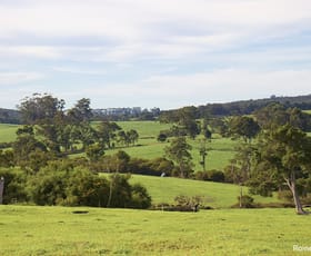 Rural / Farming commercial property for sale at 135A Hazelvale North Road Hazelvale WA 6333