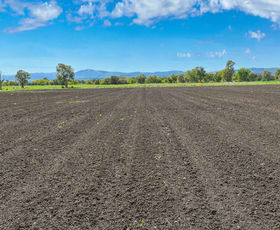 Rural / Farming commercial property for sale at 620 Wallamore Road Tamworth NSW 2340