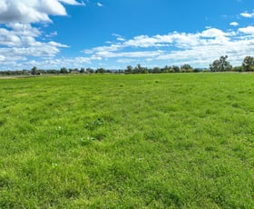 Rural / Farming commercial property for sale at 620 Wallamore Road Tamworth NSW 2340