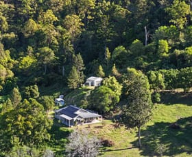 Rural / Farming commercial property for sale at 52 Curtis Road Canungra QLD 4275