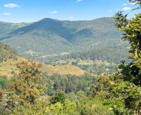 Rural / Farming commercial property for sale at 52 Curtis Road Canungra QLD 4275