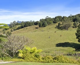 Rural / Farming commercial property for sale at 291 Upper Crystal Creek Road Crystal Creek NSW 2484