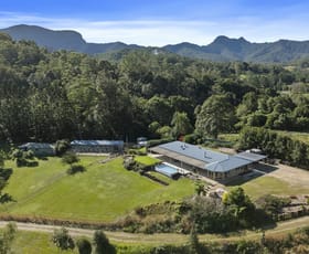 Rural / Farming commercial property for sale at 291 Upper Crystal Creek Road Crystal Creek NSW 2484