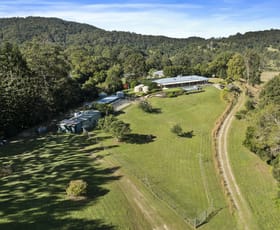 Rural / Farming commercial property for sale at 291 Upper Crystal Creek Road Crystal Creek NSW 2484